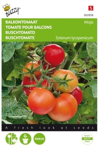 Rajčiak kríčkový Maja cca 0,75 g